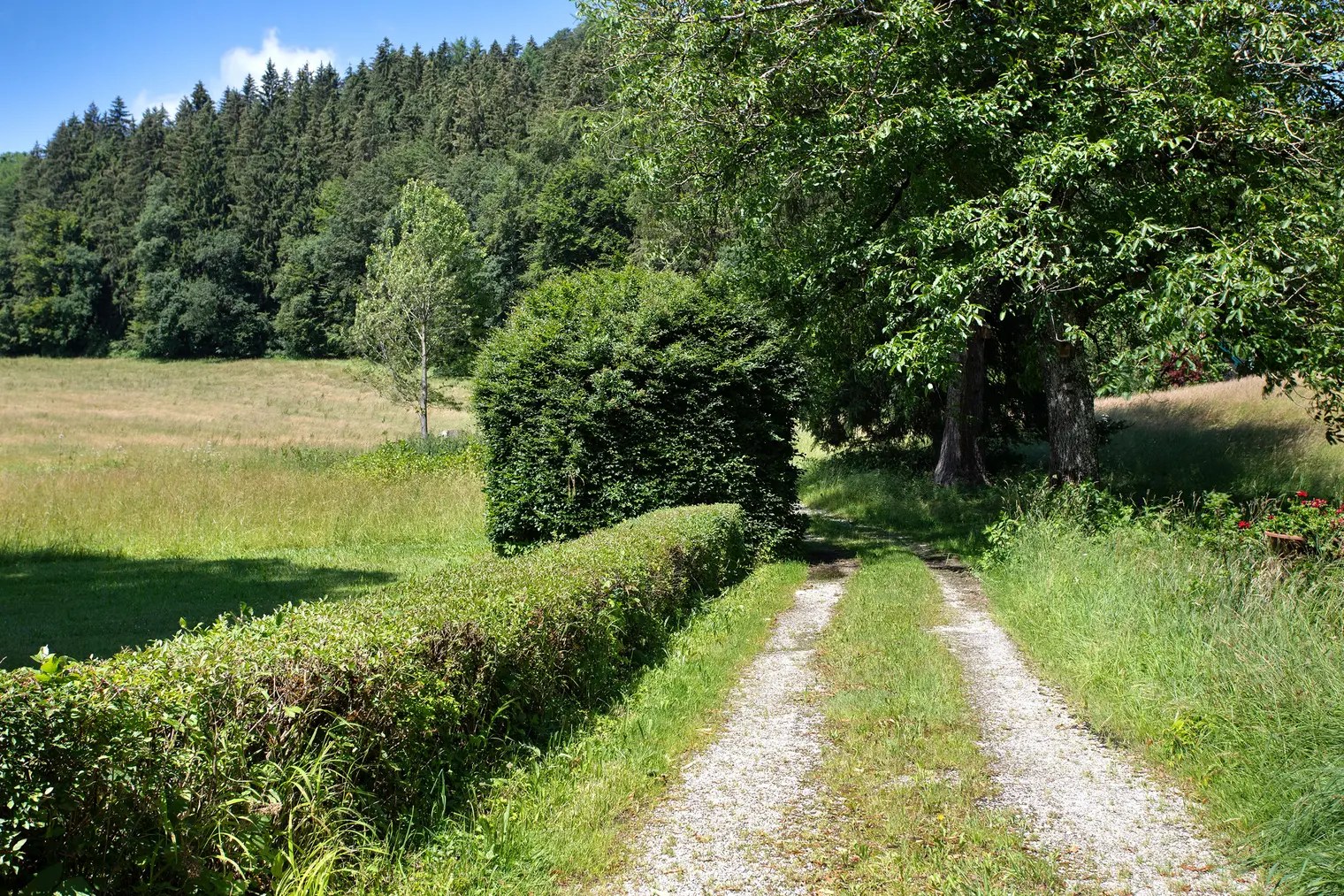 Gutshof Alte Linde · Bild 22